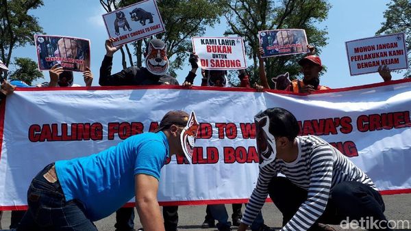 Aksi Tolak Adu Bagong di Gedung Sate