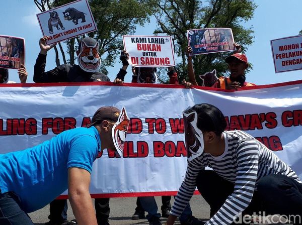 Aksi Tolak Adu Bagong di Gedung Sate