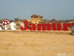 Tak Perlu Jauh ke Luar Negeri, Batu Jamur Juga Ada di Gresik