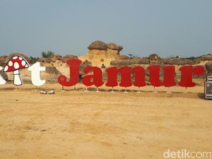 Tak Perlu Jauh ke Luar Negeri, Batu Jamur Juga Ada di Gresik Tak Perlu Jauh ke Luar Negeri, Batu Jamur Juga Ada di Gresik