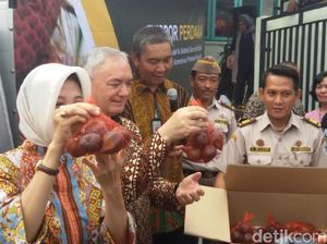 Petani Salak Sleman Terkendala Transportasi Mahal untuk Ekspor