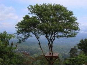 Ini Destinasi Wisata Seru di Semarang, Palembang, dan Banjarmasin