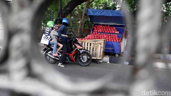 Pedagang Buah Kuasai Trotoar di Jalan Raya Bogor