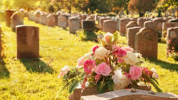 Roses in a cemetery with headstones in the background (faded retro effect)