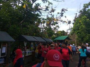 Wisata Kuliner Sehat di Jakarta Utara