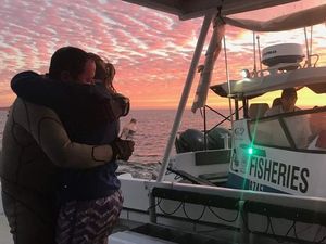 Penyelam Inggris Selamat dari Kejaran Hiu di Pesisir Australia Penyelam Inggris Selamat dari Kejaran Hiu di Pesisir Australia