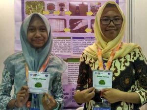 Inovatif! Tisu Ekstrak Kemangi Dibuat untuk Atasi Asma