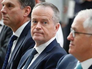 Kalah Pemilu, Partai Buruh Australia Langsung Suksesi Kepemimpinan