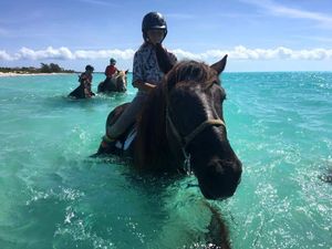 Di Karibia, Kamu Bisa Berkuda di Laut