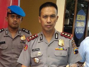 Jelang Nikahan Kahiyang, 50 Bus Disiapkan untuk Relawan Jokowi Jelang Nikahan Kahiyang, 50 Bus Disiapkan untuk Relawan Jokowi