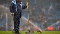 Para petugas butuh waktu beberapa menit sebelum akhirnya salah satu dari mereka berhasil menangkap penyusup kecil itu. Foto: Alex Livesey/Getty Images