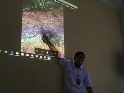 Bayi Gajah di Sumut Mati Terperosok ke Lubang