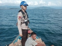 Angkut Kayu Ilegal, Kapal Tanpa Nama Ditangkap di Perairan Sumut