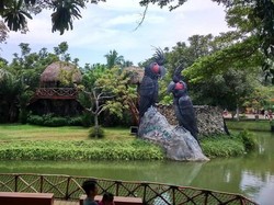 Main Bareng Burung di Fauna Land Ancol
