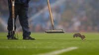 Tupai tersebut pertama kali terlihat di dekat bendera korner di lapangan Etihad Stadium, Rabu (25/10/2017) dinihari WIB. Foto: Alex Livesey/Getty Images