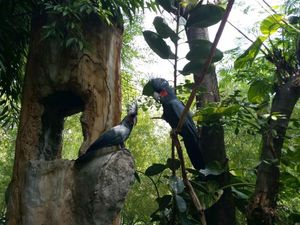 Fauna Land Ancol, Rasanya Seperti di Hutan