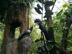 Fauna Land Ancol, Rasanya Seperti di Hutan