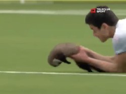 Invasi hewan ke lapangan sepakbola bisa berakhir menyakitkan. Seekor hewan sejenis musang mengganggu laga Piala Super Swiss 2013 antara FC Thun dengan FC Zurich. Pemain Zurich Loris Benito mengalami luka gigitan usai mencoba menangkap si hewan yang berlarian di lapangan. Foto: screen shot YouTube