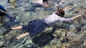 Gaya Susi Snorkeling di Pulau Hatta