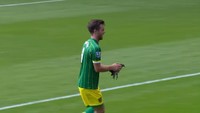 Laga Premier League kembali disatroni penyusup. Kali ini seekor burung dara ikut tampil saat West Ham menjamu Norwich City, September 2015. Pemain Norwich Jonny Howson dengan cekatan menangkap hewan itu dan menaruhnya ke belakang papan iklan di pinggir lapangan. Foto: screen shot YouTube
