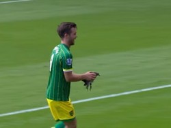 Laga Premier League kembali disatroni penyusup. Kali ini seekor burung dara ikut tampil saat West Ham menjamu Norwich City, September 2015. Pemain Norwich Jonny Howson dengan cekatan menangkap hewan itu dan menaruhnya ke belakang papan iklan di pinggir lapangan. Foto: screen shot YouTube