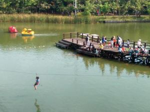 Menemukan Oase Hijau di Tengah Hiruk Pikuk Jakarta