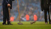 Demi keselamatan si tupai sendiri, para petugas pun berusaha menggiringnya keluar lapangan. Foto: Alex Livesey/Getty Images