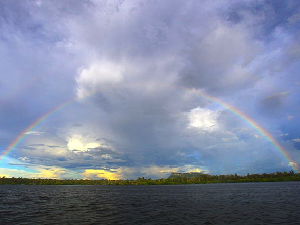 Festival Danau Sentarum Suguhkan Pameran Kuliner  Tradisional