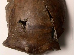 Tengkorak Korban Tsunami 6 Ribu Tahun Ditemukan, Tertua di Dunia