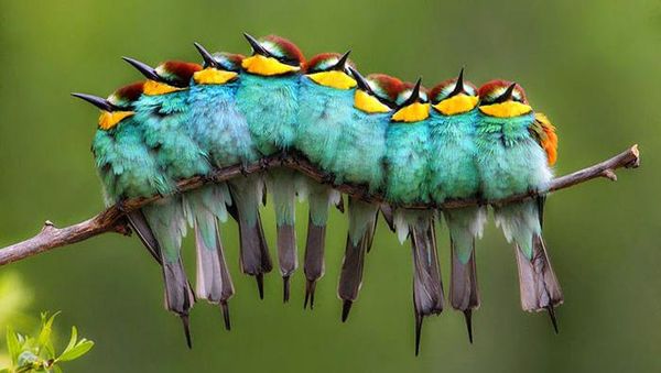 Deretan Foto Ini Ternyata Benar-benar Menjebak