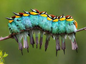 Deretan Foto Ini Ternyata Benar-benar Menjebak