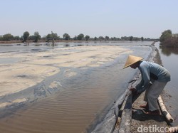 Impor Garam Industri Tak Lagi Perlu Rekomendasi Susi