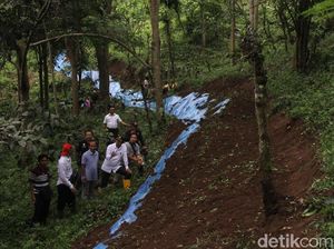 Rawan Longsor, BPBD Tinjau Retakan Tanah di Perkebunan Jember
