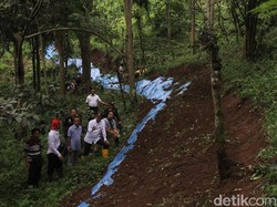 Rawan Longsor, BPBD Tinjau Retakan Tanah di Perkebunan Jember