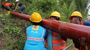 Tembus Hutan, Begini Perjuangan Melistriki Desa-desa di Natuna