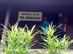 Pohon Puring Penanda Tempat Dikubur Plasenta WR Supratman