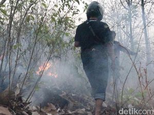 16 Hektar Hutan Bentar Probolinggo Terbakar