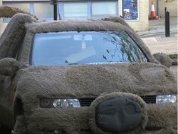 Lucu, Mobil Mirip Anjing Ini Jadi Tontonan Warga