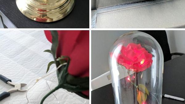 Potret Viral Ini Jadi Bukti, Masih Ada Pria Baik di Muka Bumi