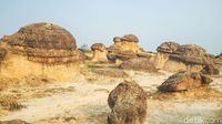 Foto: Bukit Jamur yang Unik di Gresik