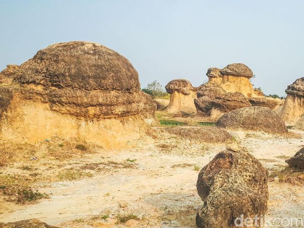 Foto: Bukit Jamur yang Unik di Gresik