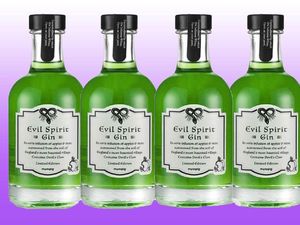 Hii.. Mau Coba Evil Spirits Gin yang Dibuat dengan Kutukan Penyihir?