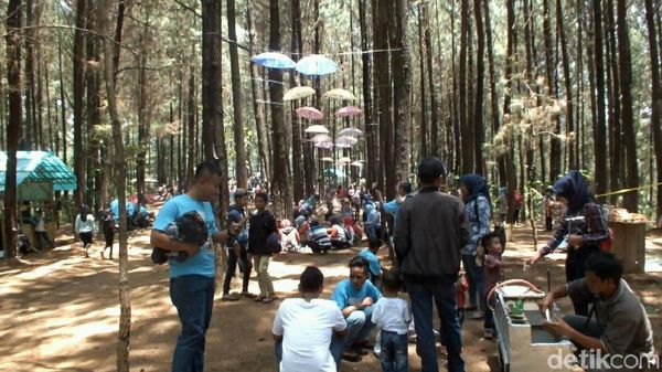 Ide Akhir Pekan di Garut: The Great Oko