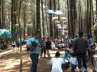 Ide Akhir Pekan di Garut: The Great Oko