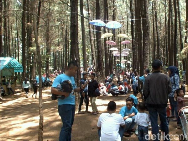 Ide Akhir Pekan di Garut: The Great Oko