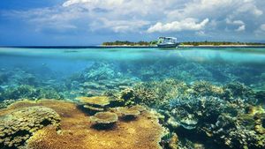 Foto: Nisa Pudu, Pulau Eksotis dari Sumbawa