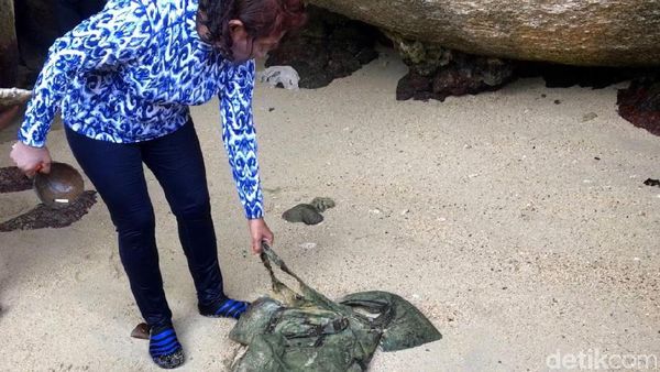 Yuk Intip Susi Bersih-bersih di Pantai Batu Sindu Natuna