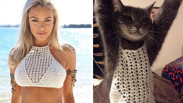 Miris Tapi Kocak, Mereka Tertipu Belanja Online