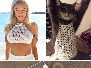 Miris Tapi Kocak, Mereka Tertipu Belanja Online