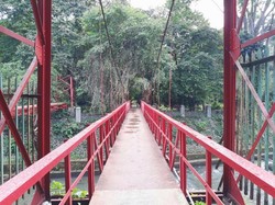 Spot Instagramable di Kebun Raya Bogor